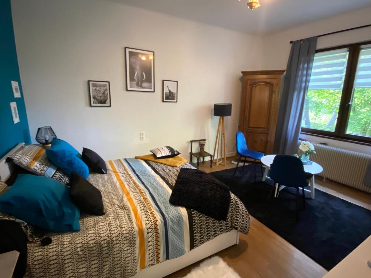 Belle Chambre Privee - Salle De Bain - Jardin - Wifi - Wissembourg Dış mekan fotoğraf