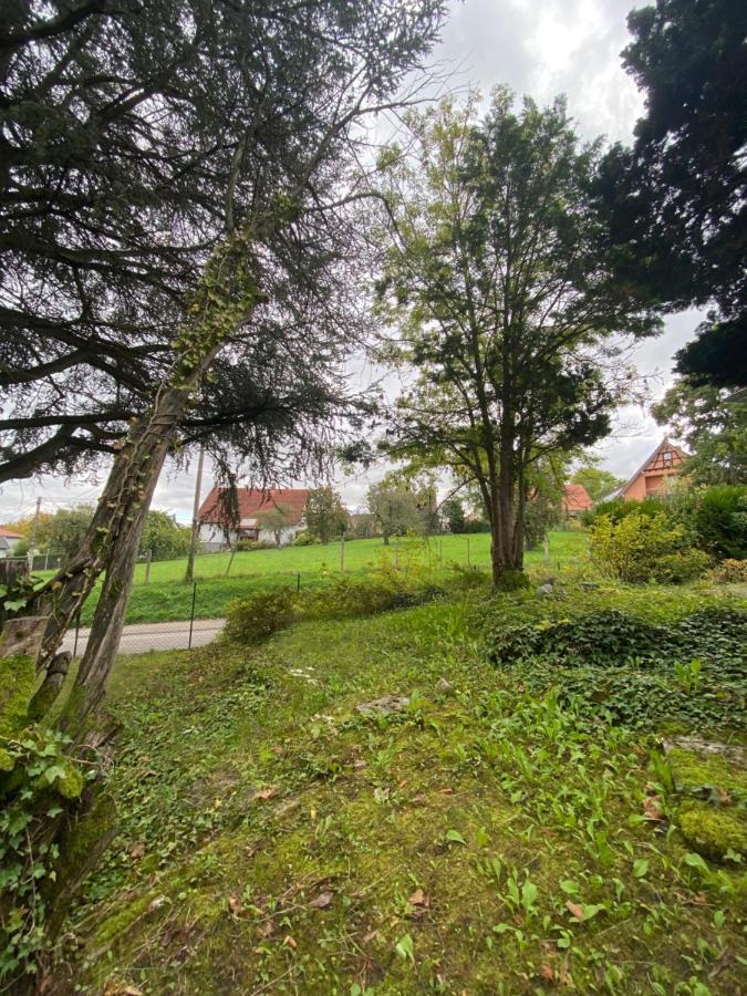 Belle Chambre Privee - Salle De Bain - Jardin - Wifi - Wissembourg Dış mekan fotoğraf