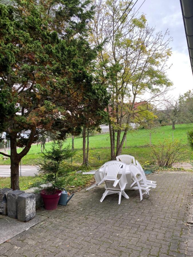 Belle Chambre Privee - Salle De Bain - Jardin - Wifi - Wissembourg Dış mekan fotoğraf