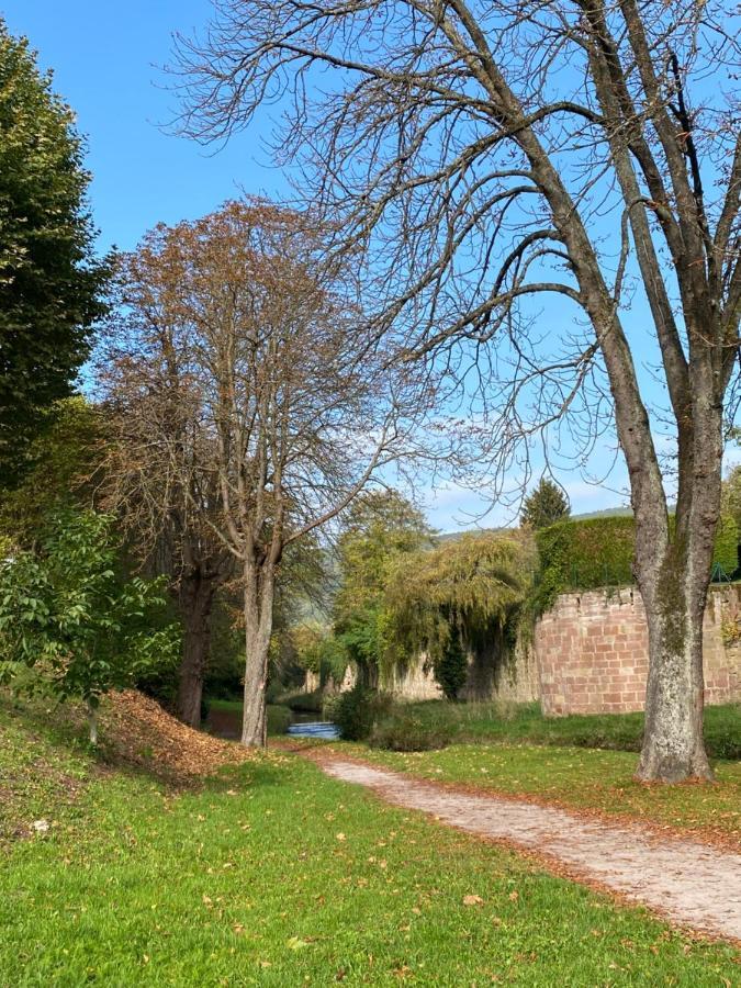 Belle Chambre Privee - Salle De Bain - Jardin - Wifi - Wissembourg Dış mekan fotoğraf
